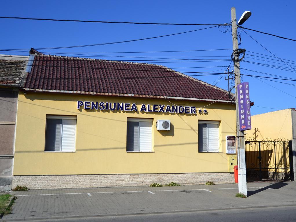 Pensiunea Alexander Arad Dış mekan fotoğraf